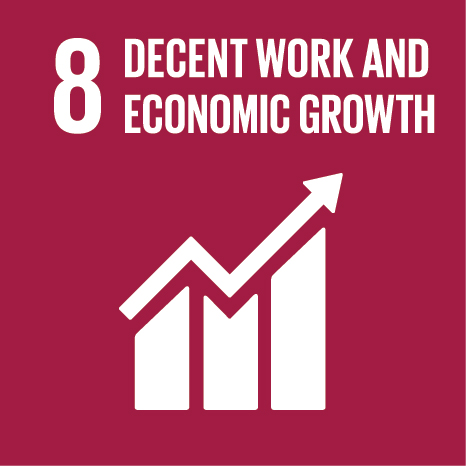 sdg-icon-8