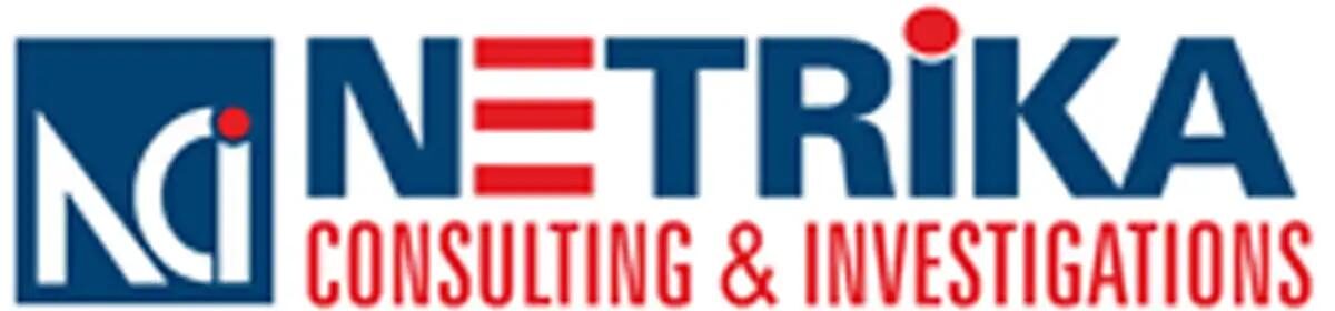 Netrika-Consulting